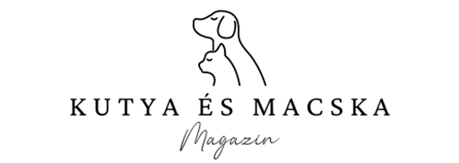 Kutya és Macska Blog
